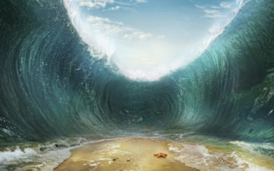 Are you ready for the post-pandemic tsunami?